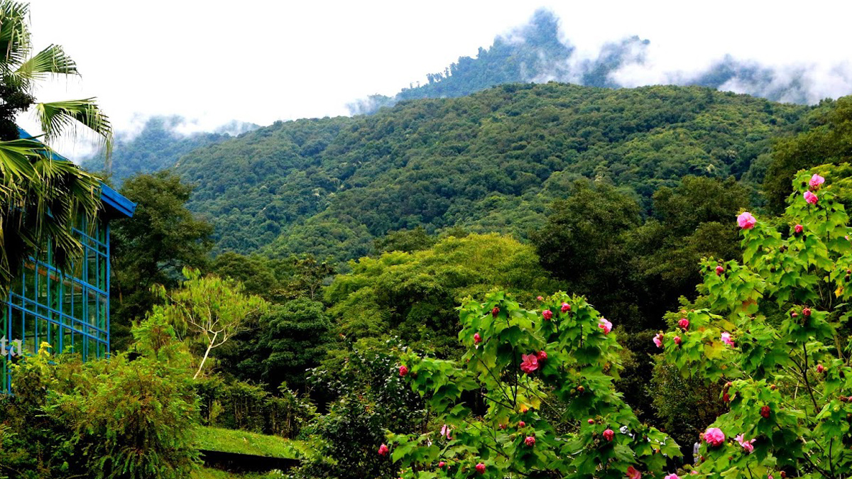 Godawori Botanical Garden