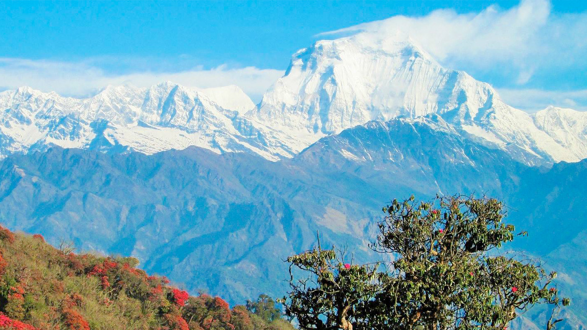 Spring Trek in Nepal