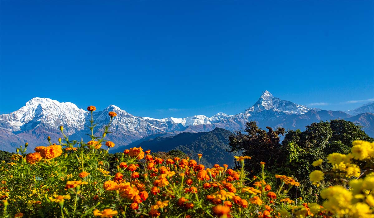 mountain view annapurna pokhara nepal